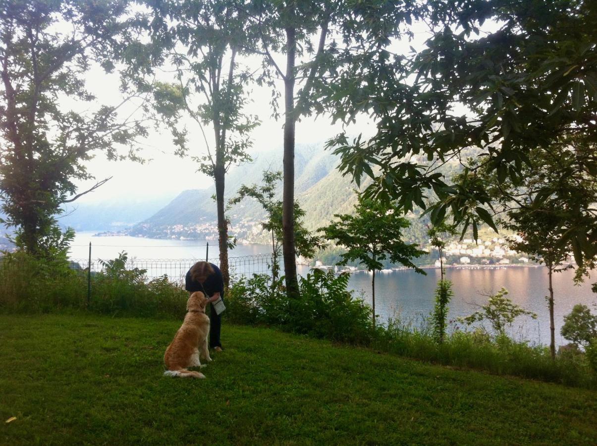 Villa Corti Lakeview Como Exterior foto