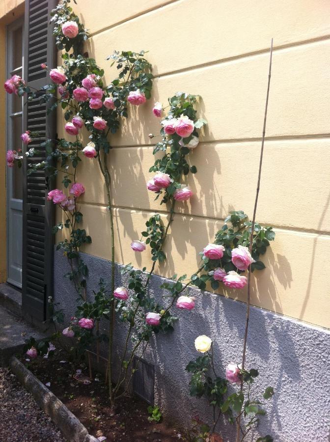 Villa Corti Lakeview Como Exterior foto