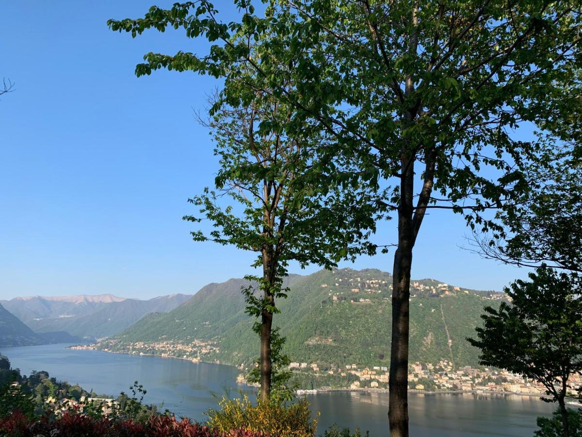 Villa Corti Lakeview Como Exterior foto